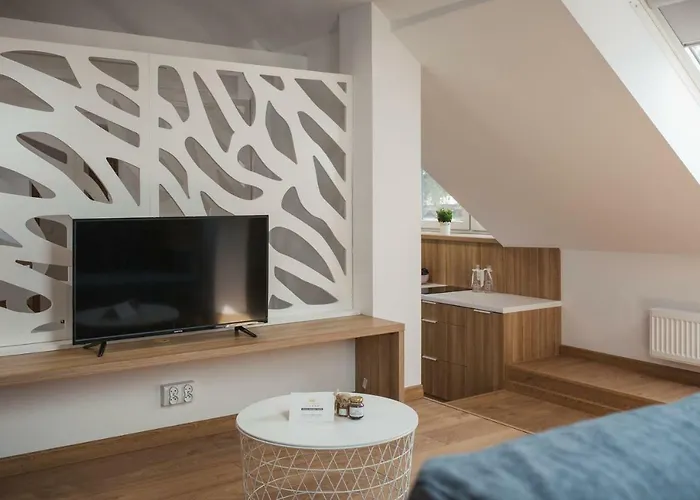 Apartment Szaron 250 M Do Kortow Tenisowych I Bulwarow Wislanych - Dream *